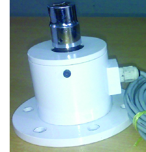 Torque Sensor